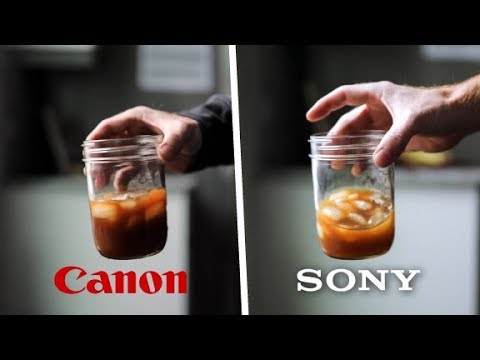 Can You Get Sony A7III To Look Like Canon?