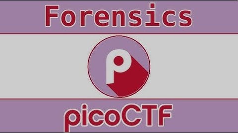 picoCTF | So Meta | Digital Forensics