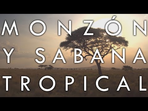 Video: ¿Qué son los cultivos monzónicos tropicales?