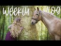 Weeklyvlog - UNE SEMAINE D'AMENAGEMENT AVEC NOUS 🌿