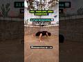 250+ Outdoor Push-Ups 💥 Raw Bodyweight Strength