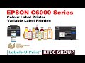 EPSON Colour Label Printer - Preview New ColorWorks - C6000 series - KTEC GROUP UK