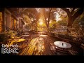 Autumn Cafe Ambience 🍂 Relaxing Slow Bossa Nova &amp; Smooth Jazz for Work, Study &amp; Stress Relief