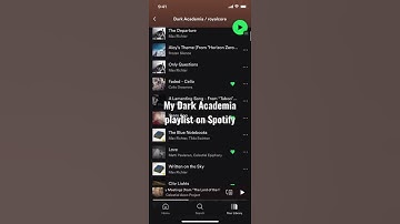 Thumbnail of Dark Academia playlist on Spotify