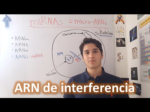 Vídeo: Regulación De MicroARN Por Epigenética Y Su Interacción Involucrada En El Cáncer