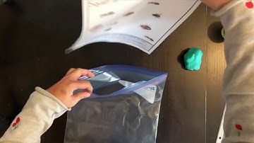 Building Fine Motor Skills Using Playdough Mats