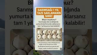 ☘️Sizlerede Fikir Olsun..