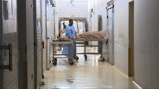 Searching for lost lives: South Africa's unidentified corpses | AFP