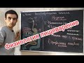 Физиология пищеварительной системы. Общая характеристика. Physiology of the digestive system.