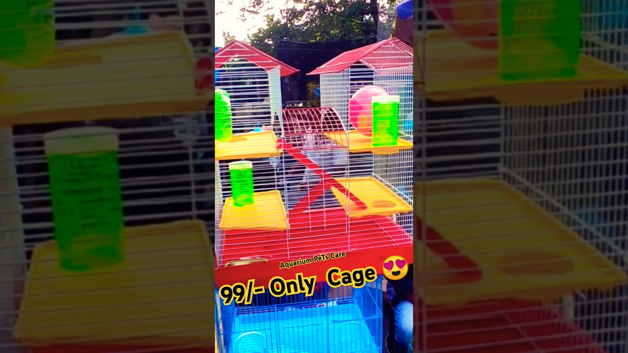 99/- Birds Cage Cheapest Pet Market ❤️ 