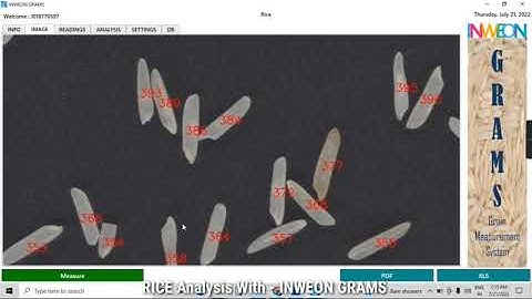 🍚 How to Check Rice Quality in Minutes | चावल की क्वालिटी कैसे जांचें? | By Inweon Grams