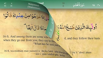 047 سورة محمد مكتوبة كاملة تجويد وترتيل بصوت مشاري راشد العفاسي