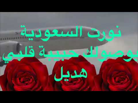 استقبال هديل الغالية