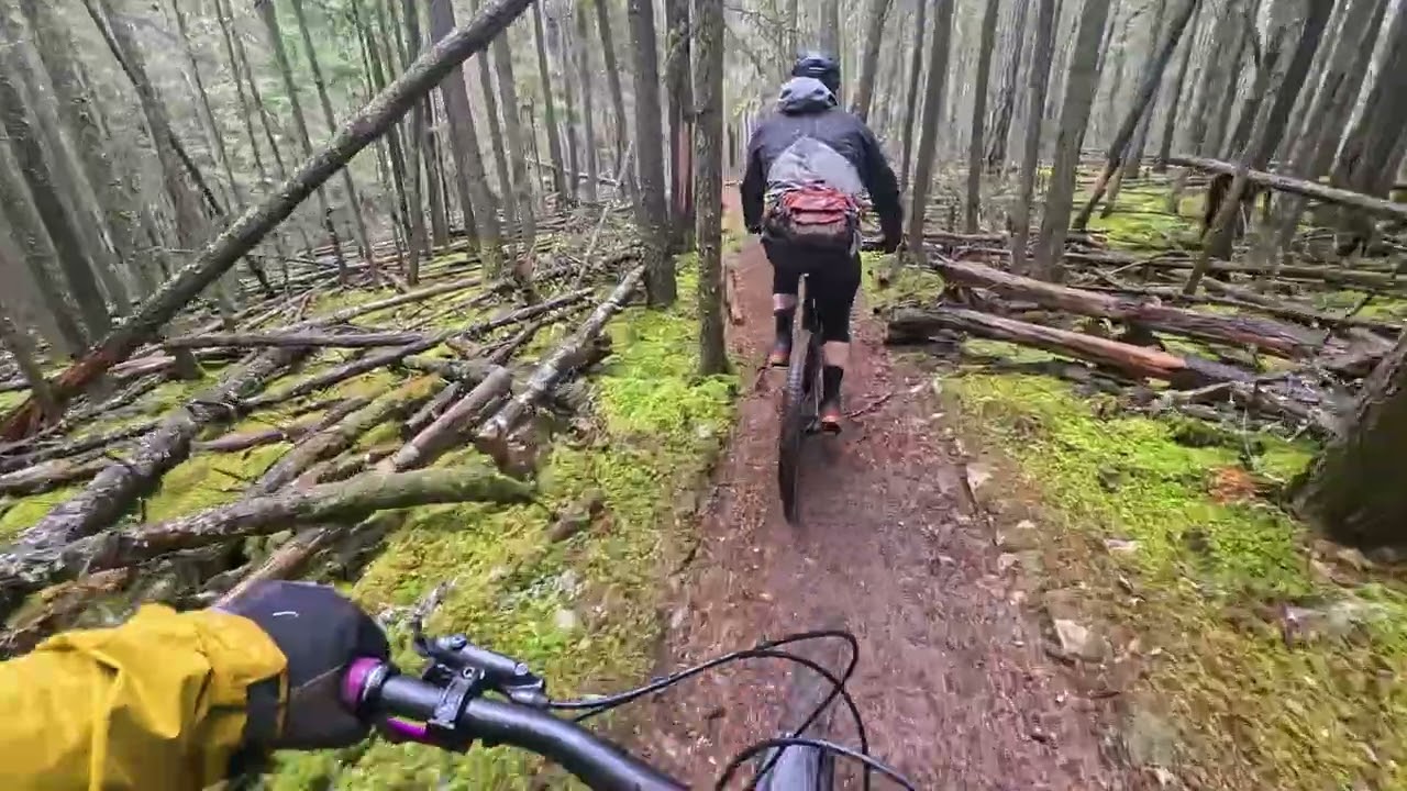Mt. Constitution/Moran State Park/Orcas Island: Wet Laps, Top Third