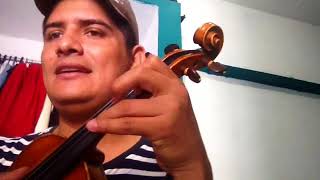 Tutoríal para violín de fiesta en Jalisco mariachi Vargas​.