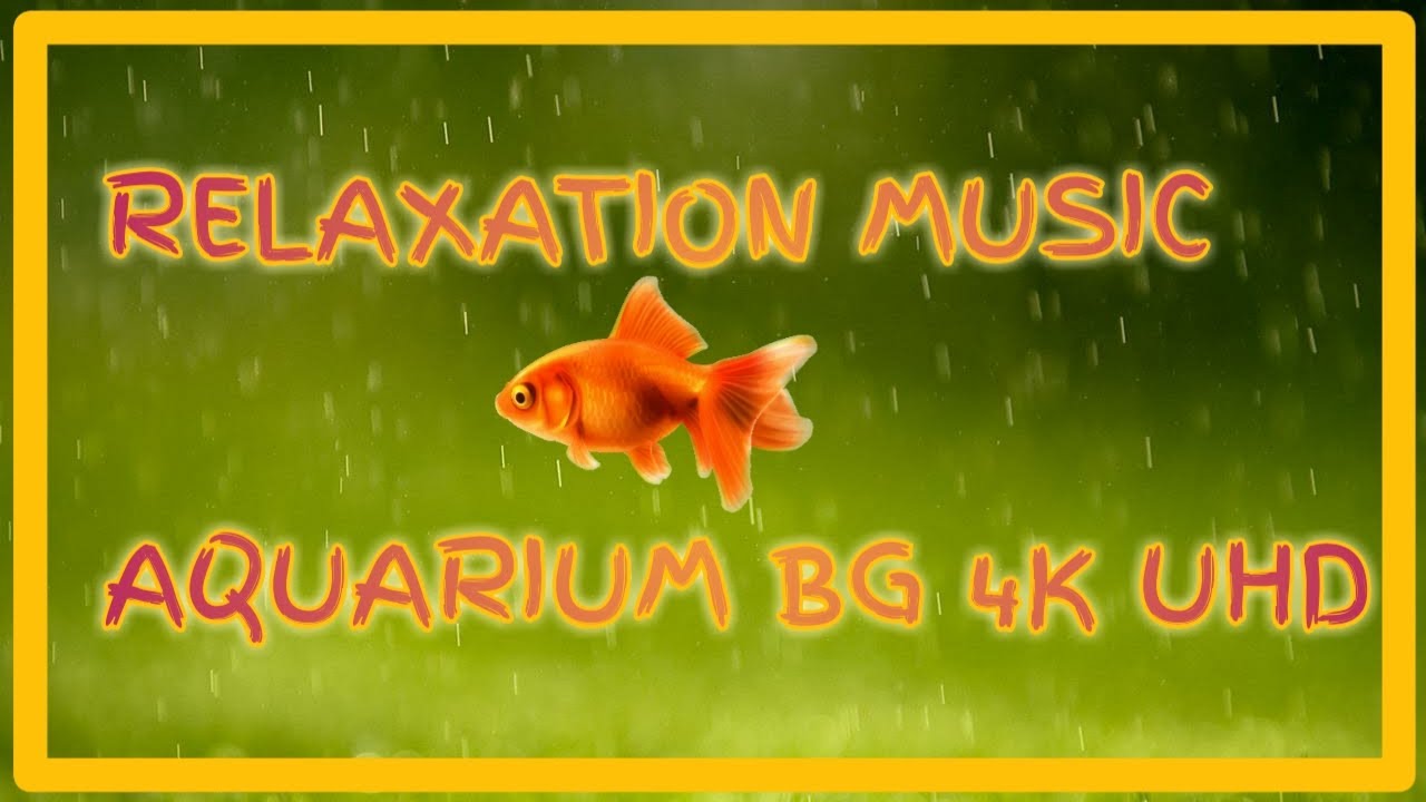 RELAXATION MUSIC WITH AQUARIUM 4K UHD VIDEO MY AQUARIUM COLLECTION
