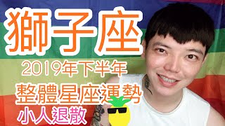 《獅子座》2019年下半年整體運勢小人多？工作棒