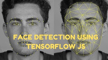 Face Detection using Tensorflow JS Model, ReactJs and NPM