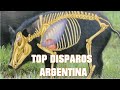 TOP DISPAROS DE CAZA ARGENTINA