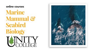 Marine Mammal and Seabird Biology