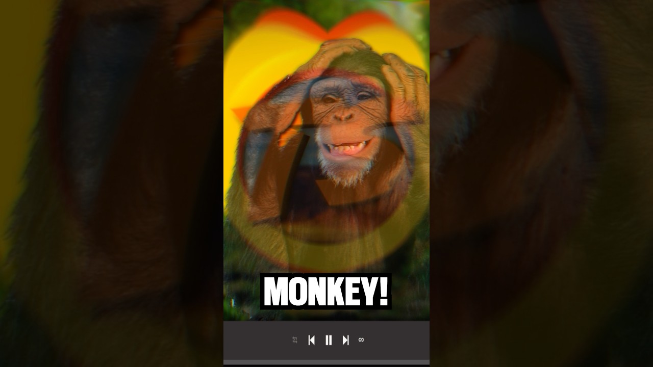 500 Monkeys write a song #ai #discord #cursed #music