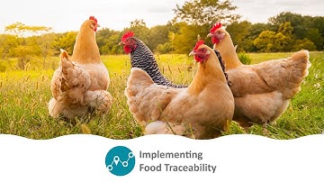The National Food Traceability Implementation Program
