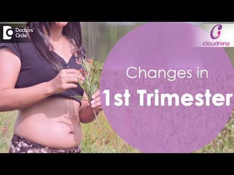 Video: Hvilken endring skjer i løpet av første trimester av svangerskapet?