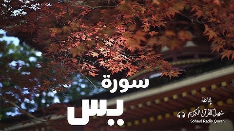 (36 ) تـلاوة مباركة سورة  " يـس " كاملة  يتلوها القارئ | شريف مصطفى