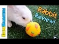 SUPERPET TREAT TUMBLER | RabbitReviews