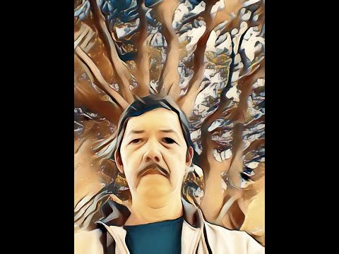 lagu-jokowi-:-jokowi-ma'ruf-amin-no-1---lagu,-lirik,-guitar,-vocal-:-erfin-syafrizal