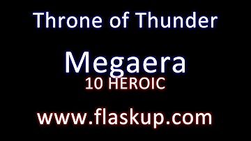 Raiding Guide: Megaera // 10 Man Heroic Mode