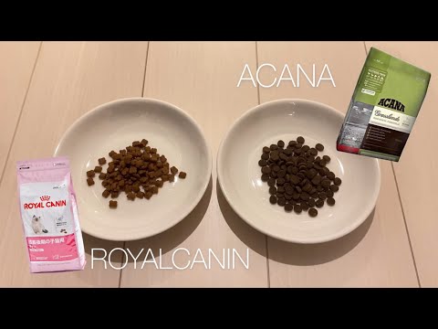 acana--vs.--royal-canin【confrontation-of-dry-food】