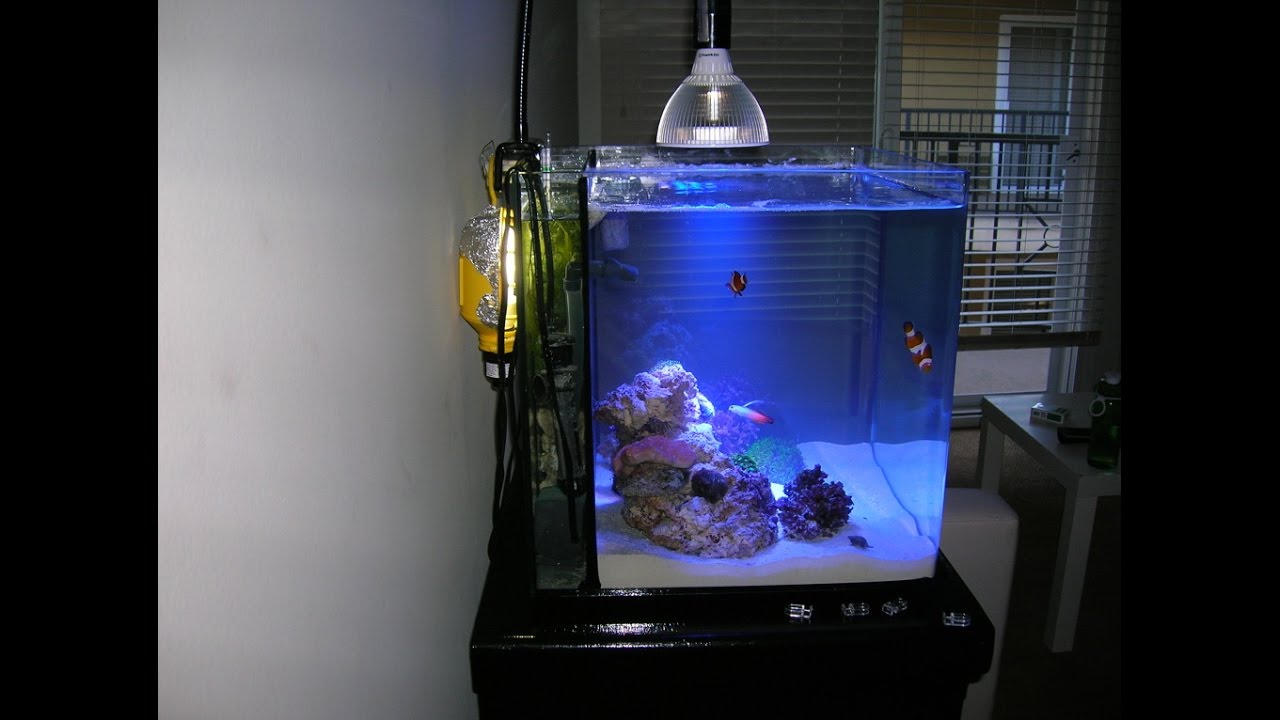 海水缸led燈具推薦 Vitalux Led水族燈系列 Youtube 海水缸led燈具推薦 Vitalux Led水族燈系列 Youtube