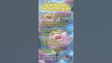 LÒNG BIẾT ƠN GIÚP BẠN THĂNG TIẾN TRONG CÔNG VIỆC #youtube #youtubeshorts #viral #phattrienbanthan