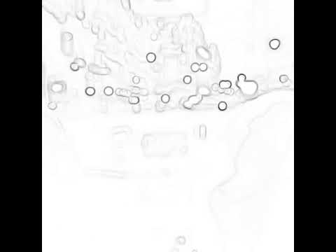 هو مليك القلب