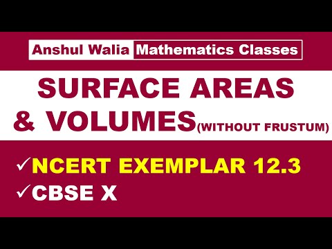 SURFACE AREAS & VOLUMES || NCERT EXEMPLAR 12.3 || CBSE X