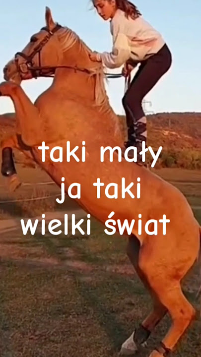 Taki mały ja❤️🐎🐴❤️    #lovehorse #jazdakonna #horseedit #edit #horses #horse #konie #koń #equestrian