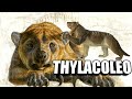 🤩El INCREÍBLE "León marsupial" #Thylacoleo carnifex #Australia 🌏