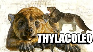 El Increíble León Marsupial Carnifex