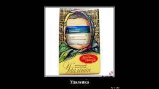 Коронавирусная удалёнка... Одна сторона медали