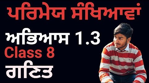 Class 8, Mathematics, Exercise 1.3, ਪਰਿਮੇਯ ਸੰਖਿਆਵਾਂ, Rational Numbers