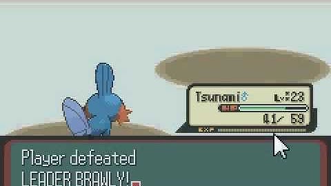 Mudkip Only Run Part 5- Dewford town + Gym