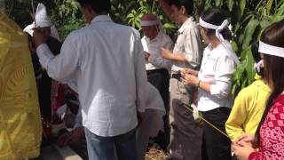 IMG 9506