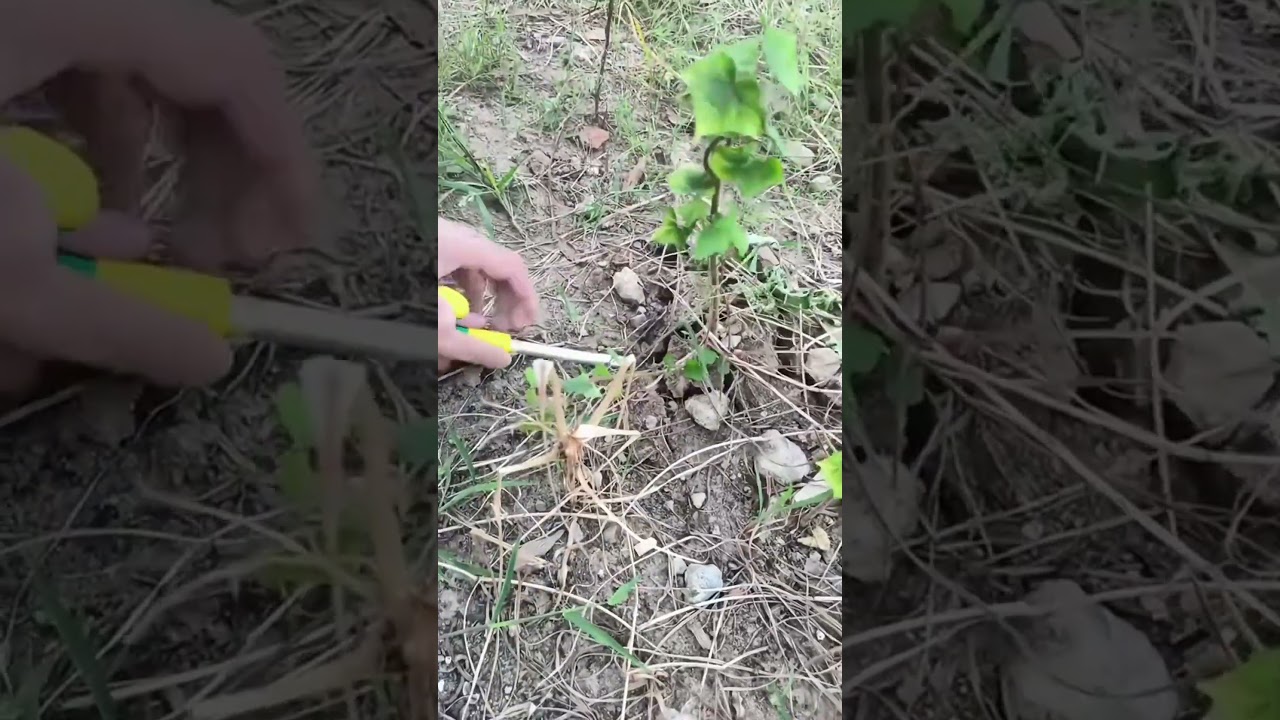 The handle of the small shovel is well designed