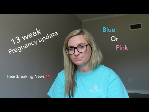 13 week pregnancy update | NIPT Genetic Test results