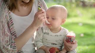 Nestle Gerber - Pan Organic I Gama Organicznych Smaków