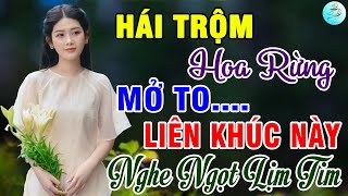 Hái Trộm Hoa Rừng, Nhật Ký Đời Tôi🌟Liên Khúc Bolero Trữ Tình Bất Hủ Ngọt Lịm Tim Toàn Bài Hay