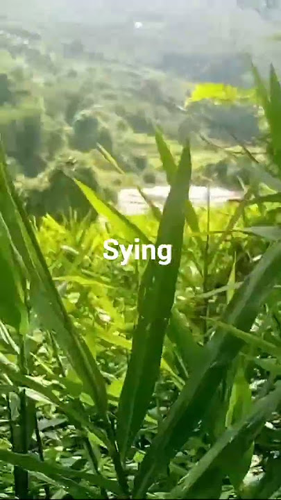 so shit so hot 🥺😩