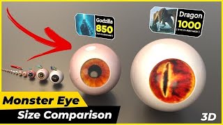 eye size comparison | biggest eye by Data World Studio 44,356 views 10 months ago 3 minutes, 51 seconds