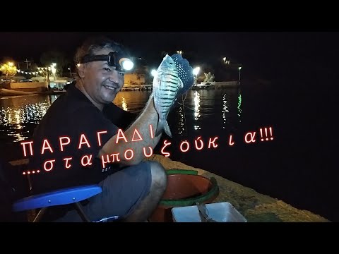 Παραγάδι στα μπουζούκια!!!